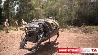 Totowa Airsoft & Iceberg Army Navy Honor Veterans 2015
