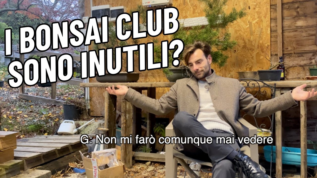 i BONSAI CLUB sono INUTILI?