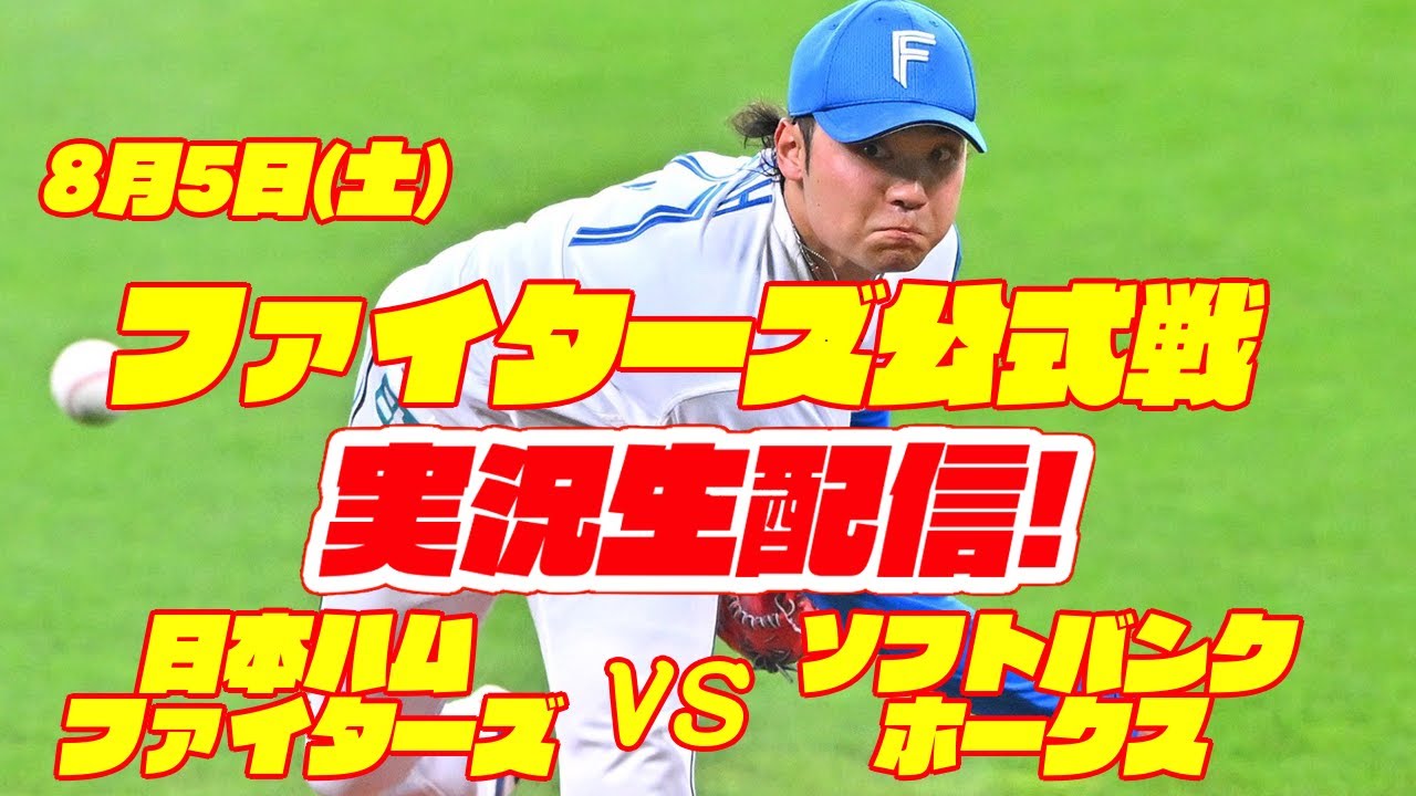 日本ハムvsソフトバンク 8月25日(日) 2枚連番チケット バック