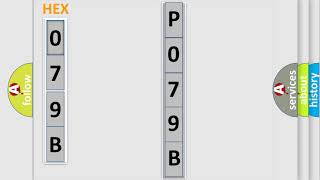 DTC Chevrolet P079B Short Explanation