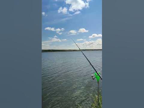 Рыба карась- игра началась😁 - YouTube