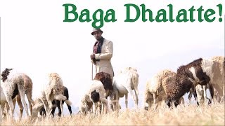 Guta Teklu - Baga Dhalatte - Oromic Song