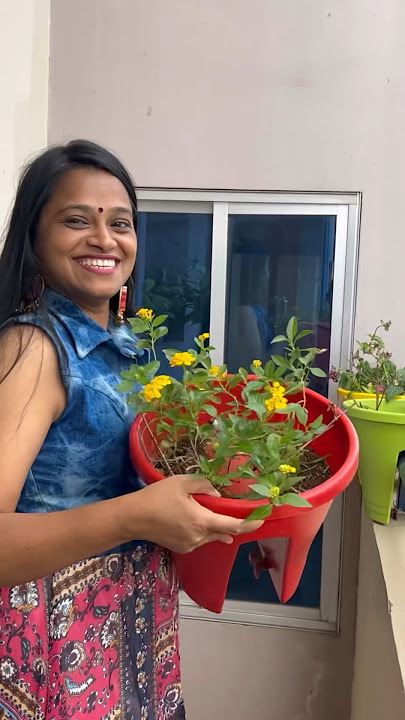 Planter for balcony from @AmazonIn #amazonfinds #founditonamazon #gardeningtips