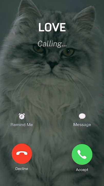 #foryou #youtubeshorts #ringtone #fypシ #cet