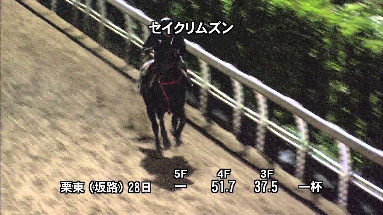 14年09月の記事 スマートボーイのように逃げたい Nige