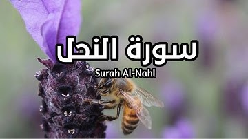 سورة النحل Surah Al-Nahl بصوت الشيخ ياسر الدوسري #النحل