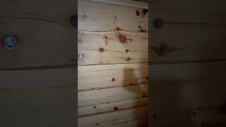 Кедровая баня из лафета, без вагонки и прочего пирога #лафет #кедроваябаня #отделкабани #кедр