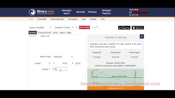 rise fall strategy binary com, how get $4,000/3 minutes