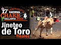 JINETEO DE TORO finales - Campeonato Vallarta MPI 2019