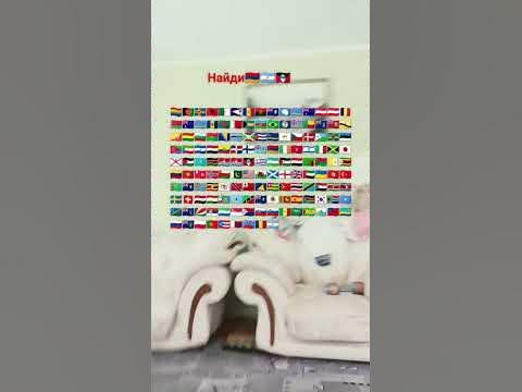 найди - YouTube
