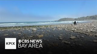 Pacific community is closer to determining cause of Linda Mar Beach's dangerous bacteria levels