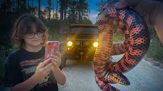 Big Mud Snake