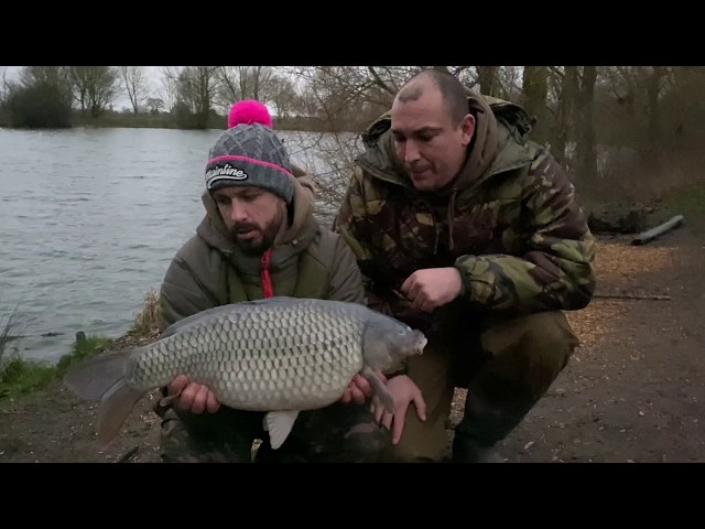 Making a wormery and keeping worms for fishing - Perch, Chub