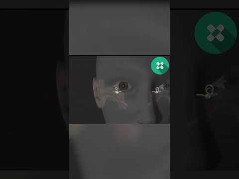 Как работает вестибулярный аппарат!? #здоровье #анатомиячеловека #ухо#красота