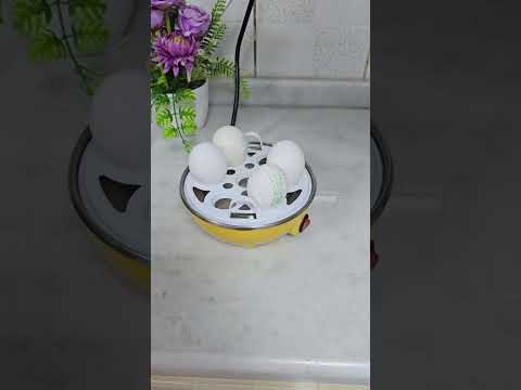 جهاز رخيص جدا لسلق البيض في 5 دقائق