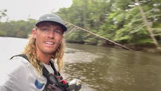 Kayaking with Gators in the Swamp!  SC