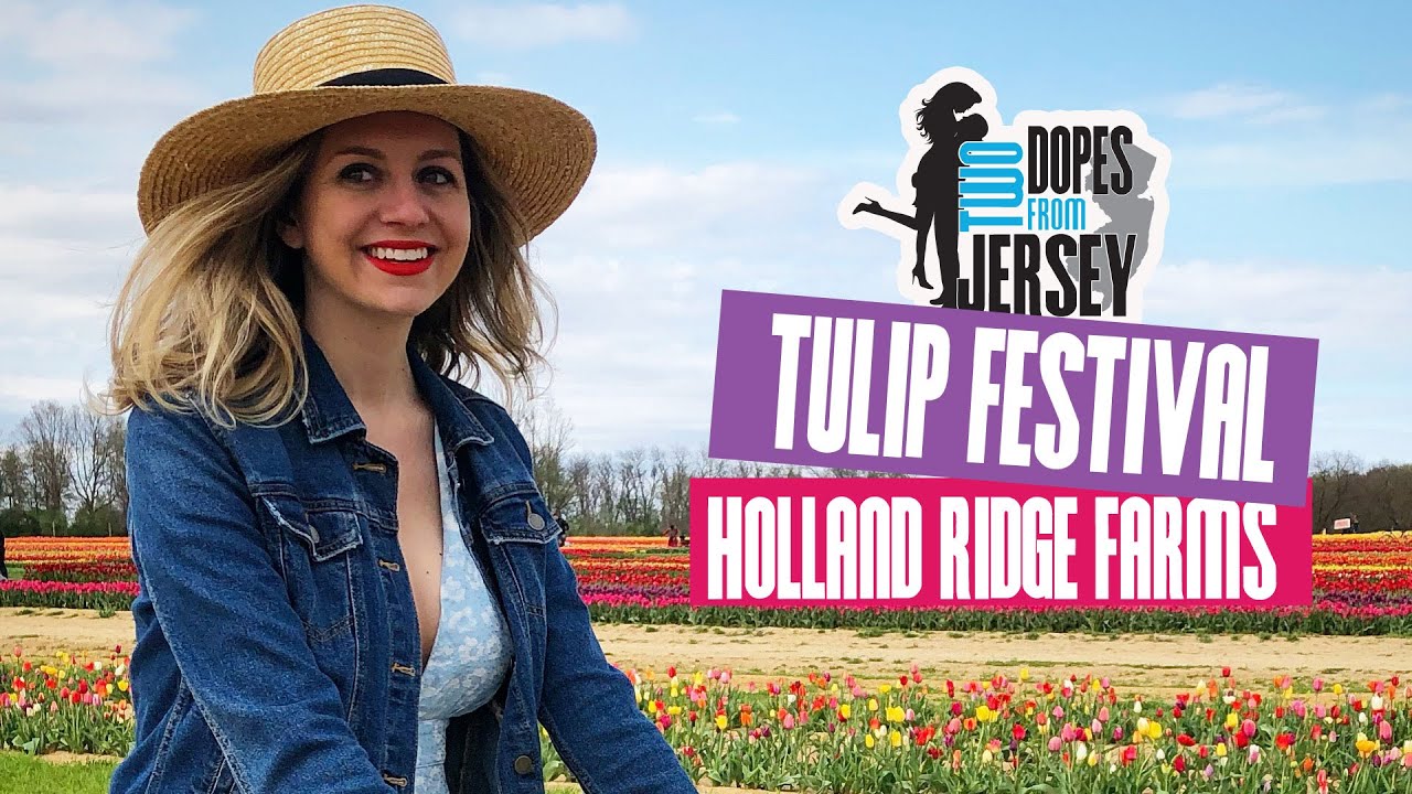 Holland Ridge Farms Tulip Festival YouTube