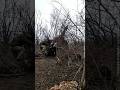 Як працюють артилеристи на Запорізькому напрямку #warinukraine