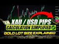 Hindi : XAU / USD Gold - Calculate pips & Lot size in Gold