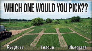 Which GRASS TYPE Is BEST For You And Your Lawn?? screenshot 4