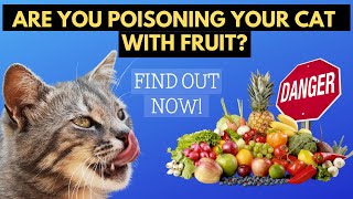 Fruits you should NEVER give to your cat because it could hurt them by Feline Facts 308 views 1 year ago 4 minutes, 26 seconds