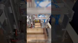 Rice Cake Packaging Machine | Servo Packaging in Action