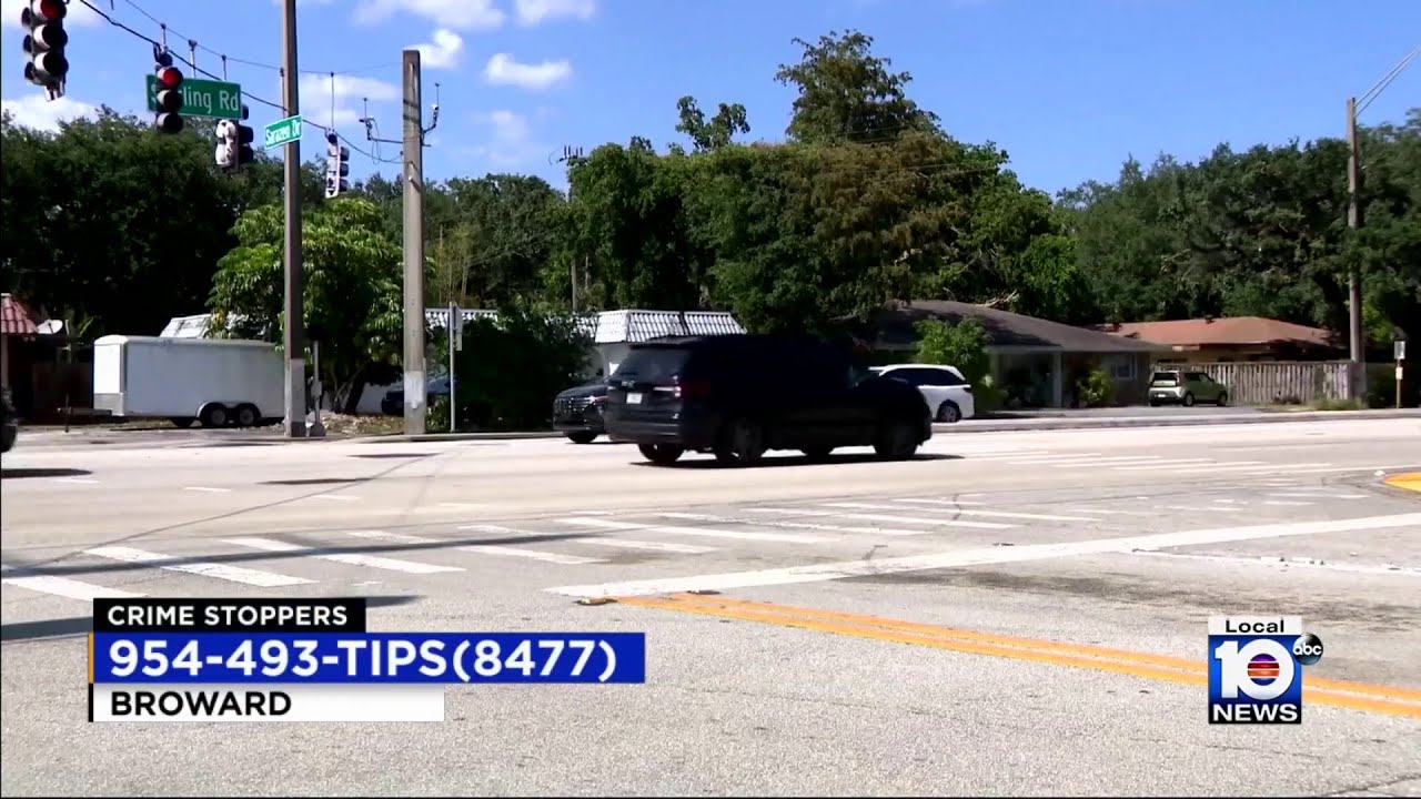 Search continues for Hollywood fatal hit-and-run driver - YouTube