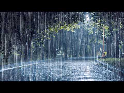 Rain Sounds for Sleeping Through the Night | Deep Sleep, White Noise & Insomnia Relief