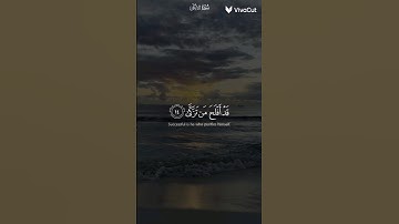 قد أفلح من تزكى وذكر اسم ربه فصلى 🌿 القارئ 🌿 عبد الرحمن مسعد 🌿