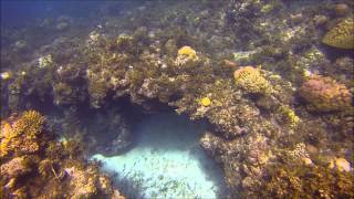 Coral Tunnels of Cabilao Island (HD)