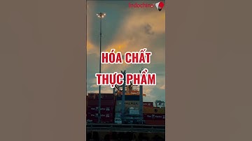 Tại sao container lại bị giữ ở cảng #CapCut #indochinalines