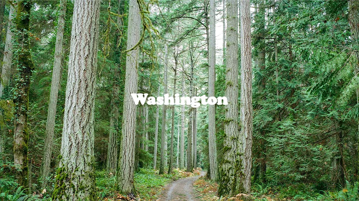 A Week of Shooting Medium Format Film in Washington