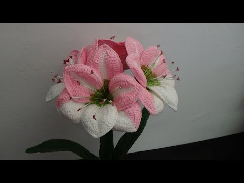 Video: Amaryllis are nevoie de repaus?