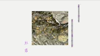杜若