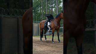 Who knew the warhorse mech would be our escape in despair?#shorts