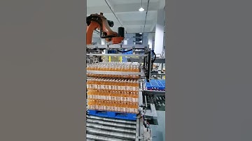 Kynhor- Robot robotic arm palletizer