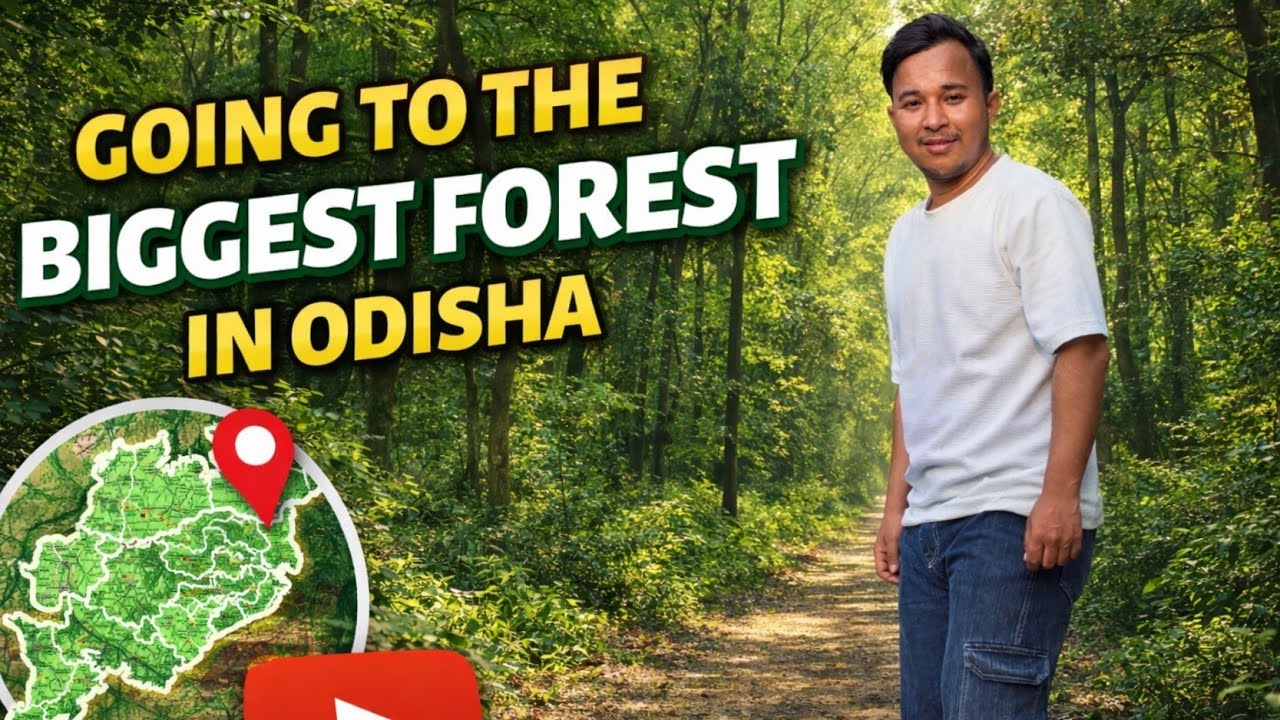 Aaj to jungle me aa gya 🥶 