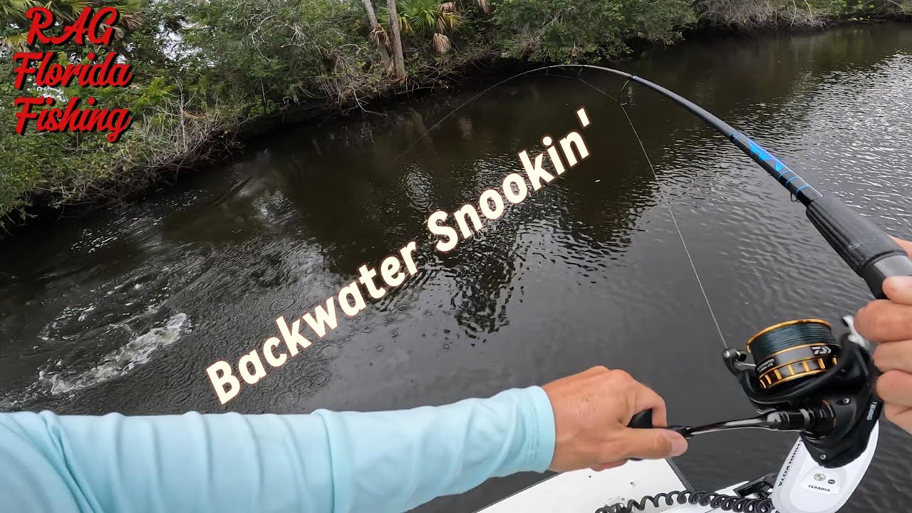 Fishing Floridas Backwaters for Stud Snook!!!