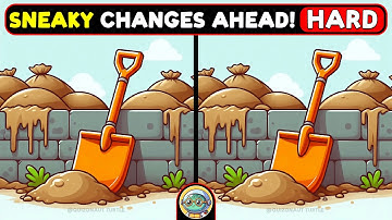 🐢🧩 Find 3 Differences | Puzzle Your Brain 🧩🐢 | Quizonaut Turtle