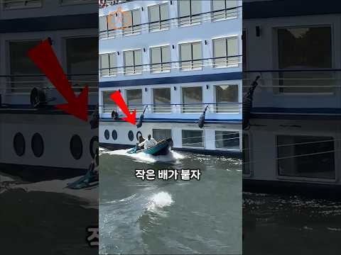 배까지 배달하는 이집트 배달의 민족