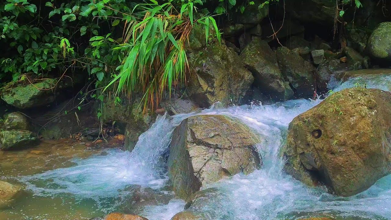 Calming River at Night – Soft Flowing Water Under the Moon for Deep Sleep Relief