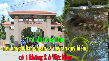 Trại rắn Đồng Tâm nơi lưu giữ hàng ngàn cá thể rắn quý hiếm có 1 không 2 ở Việt nam