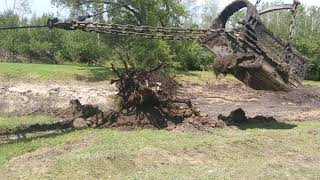 Removing a stump with the koehring 405