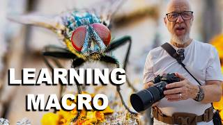 Now the Learning Begins   Macro Photography with the OM System 90mm Macro Lens