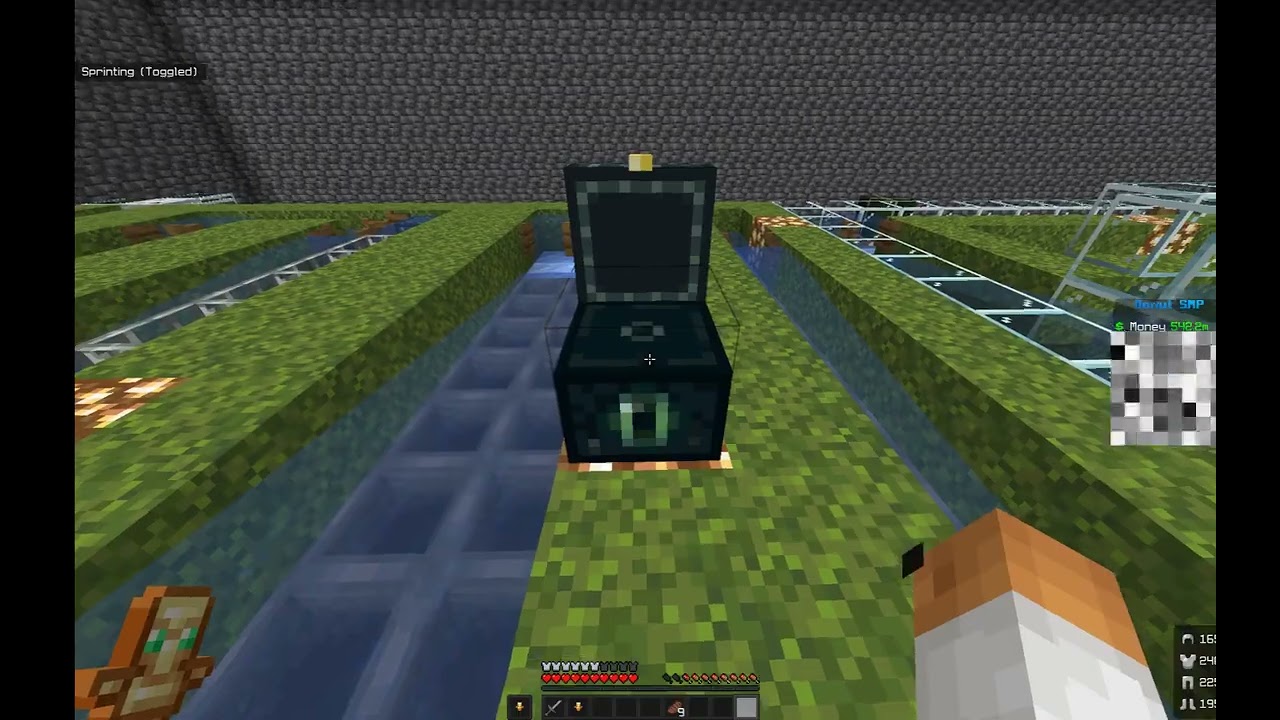 Working donutSMP Dupe??!