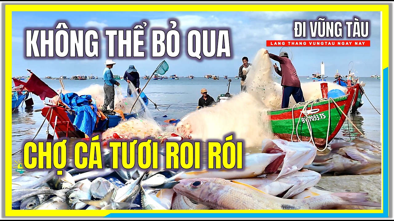 Vũng Tàu KHÔNG THỂ BỎ QUA CHỢ CÁ TƯƠI ROI RÓI tại BÃI TRƯỚC VŨNG TÀU | Cuộc Sống Vũng Tàu Ngày Nay