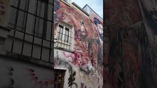 Amazing street art wall paintings in Montmartre #parisiennewalkways #dji #osmopocket3