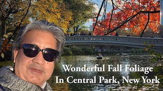 Information NYC Autumn Walk🍂🍁 Enjoy the fall foliage in Central Park on a sunny day🍂🍁 Guide