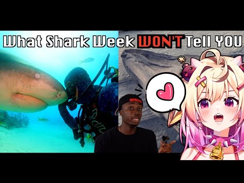 The World Without Sharks Might be Your Biggest Nightmare, rosiebellmoo reacts to Casual Geographic