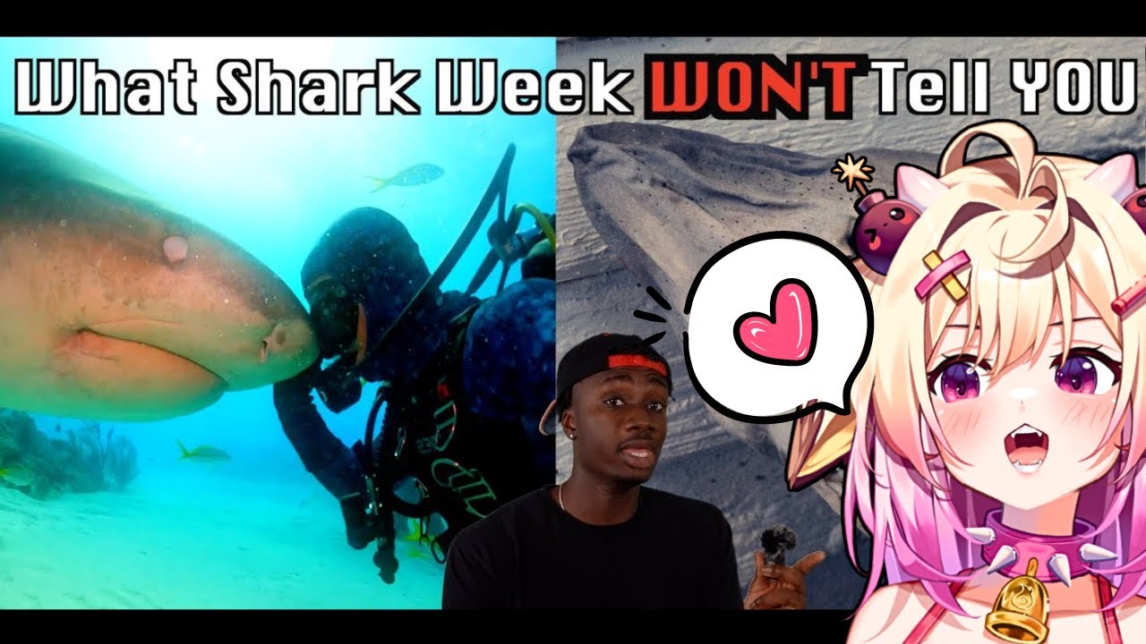 The World Without Sharks Might be Your Biggest Nightmare, rosiebellmoo reacts to Casual Geographic